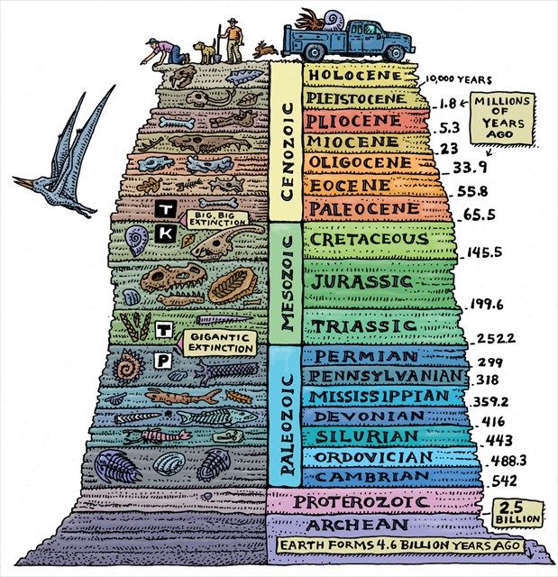 Learning Science Evidence Map: What the Research Actually Shows
