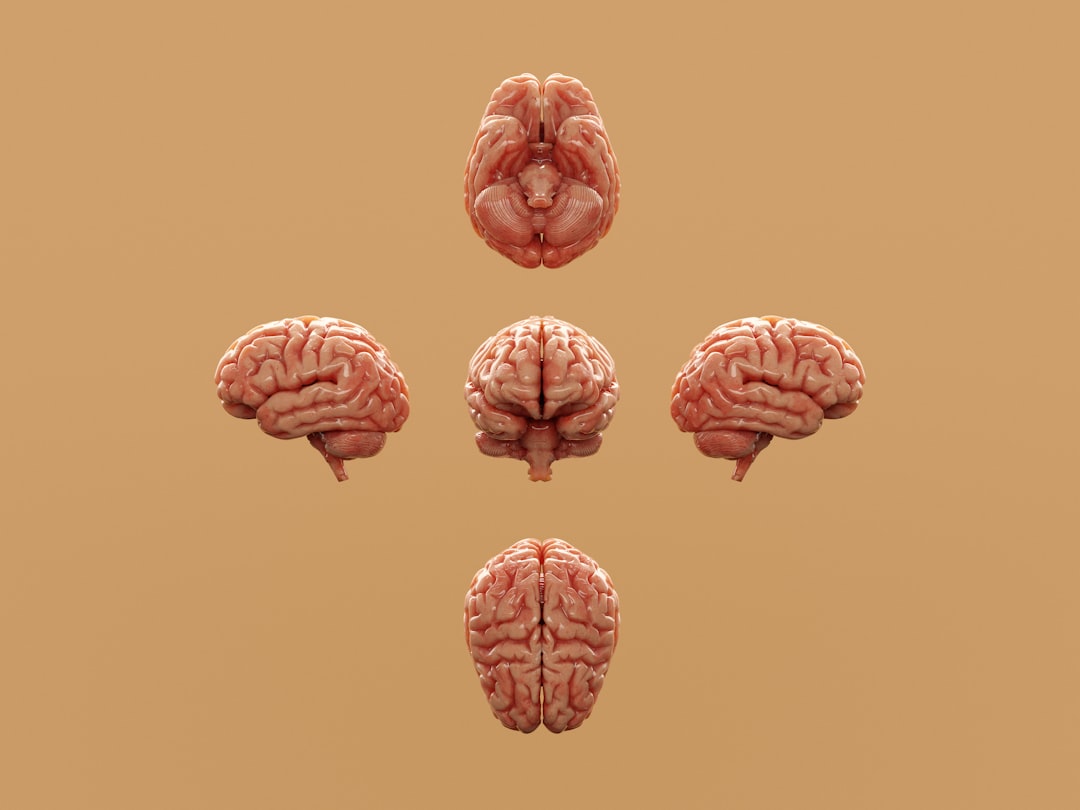 Cognitive Bias Evidence Map: Which Biases Are Robust, and Which Failed to Replicate