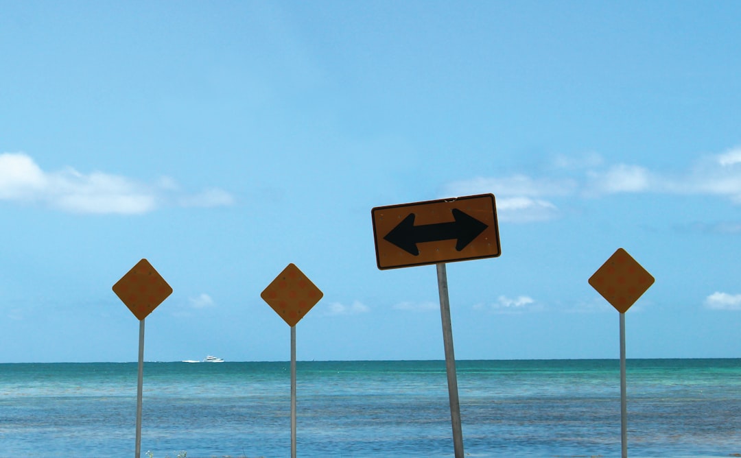 The Sunk Cost Fallacy: Why We Throw Good Money After Bad