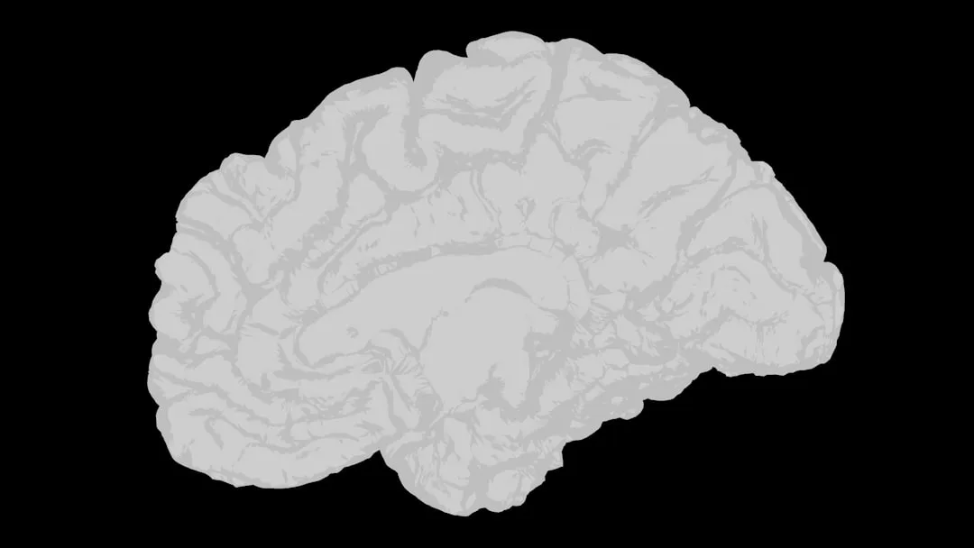Understanding Cognitive Biases with Examples