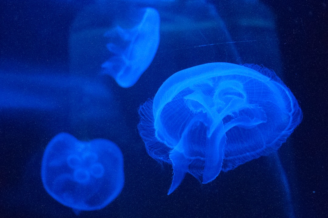 How Learning Happens in the Brain