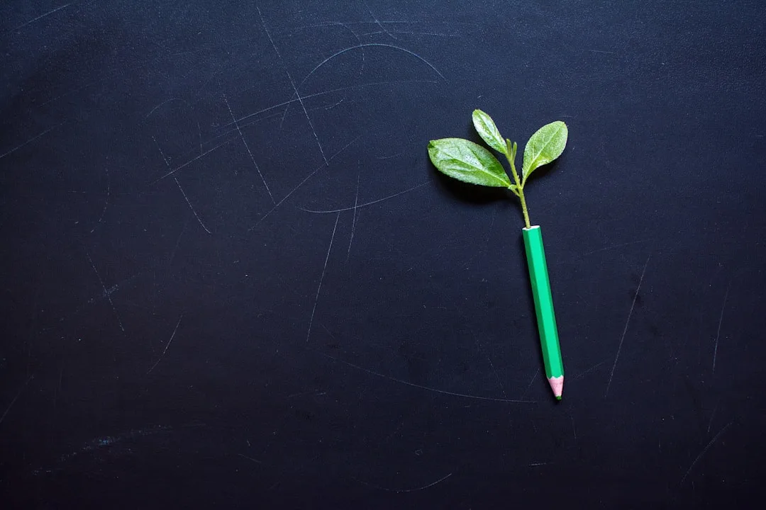 Step-by-Step: Analyzing Incentive Structures