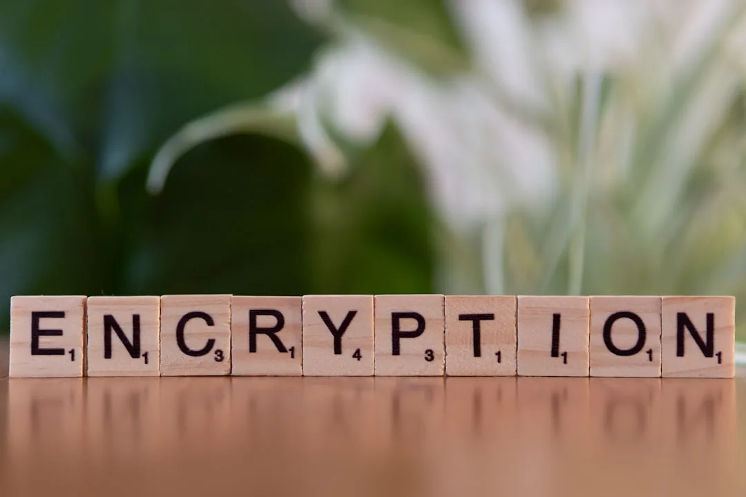 How Encryption Protects Data