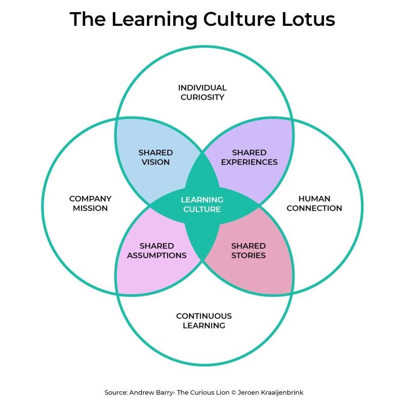 Learning Culture Explained