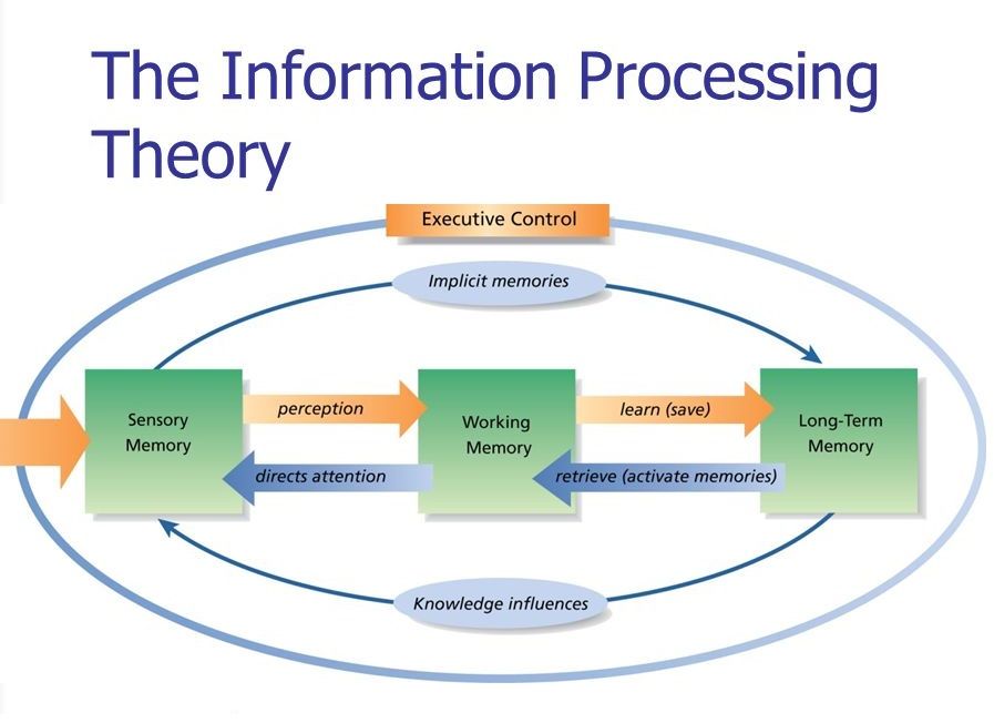 Putting Information Theory to Work