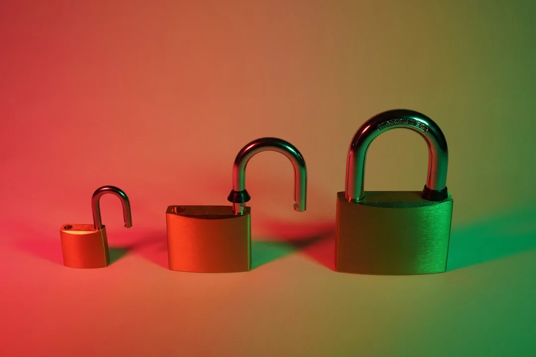 Privacy vs Security: Understanding Key Differences