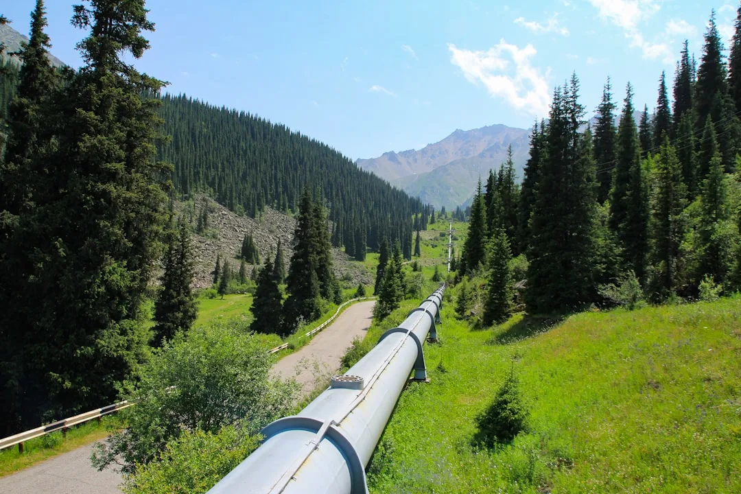Data Pipelines: Efficient Data Movement and Transformation
