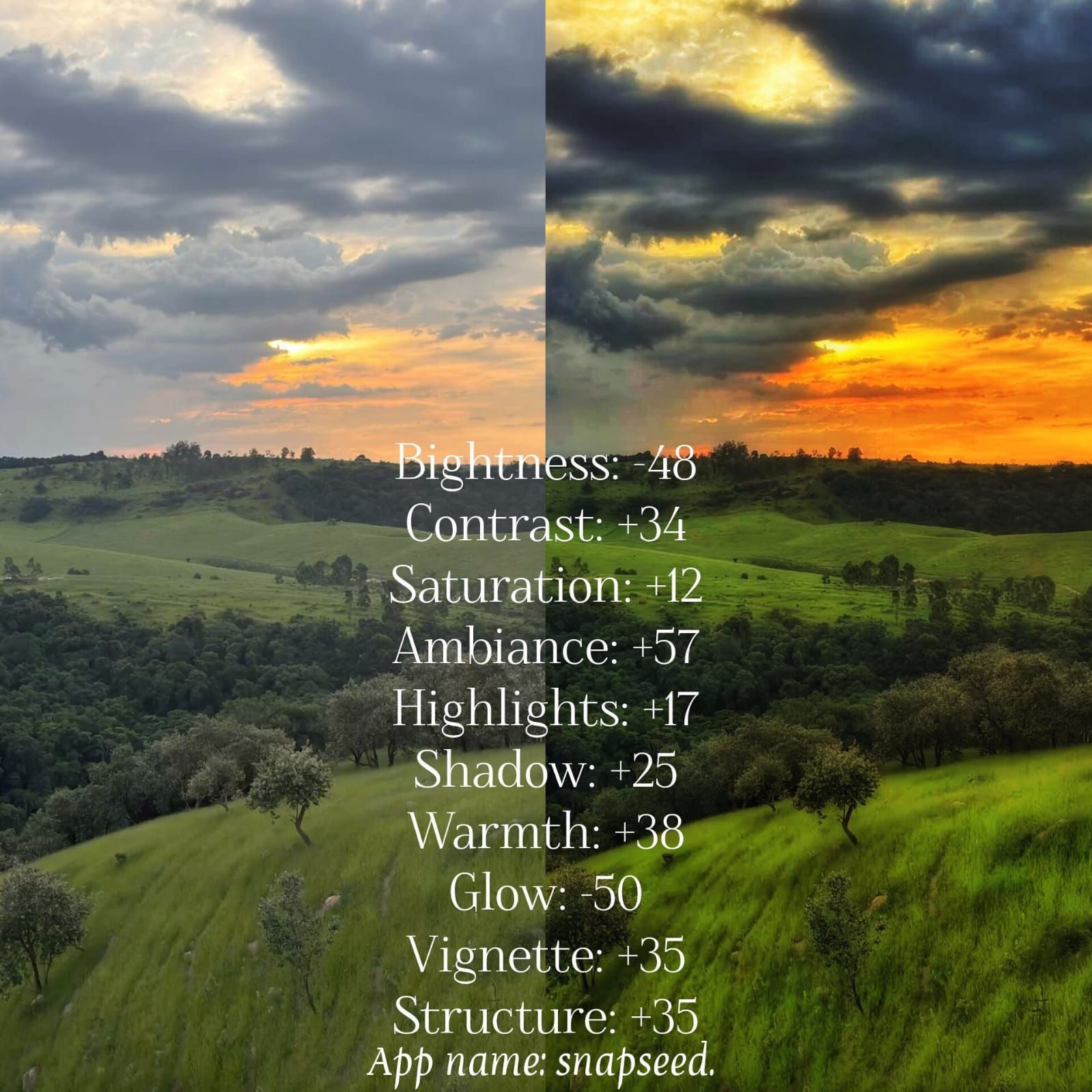 Editing for Clarity: Techniques for Precision