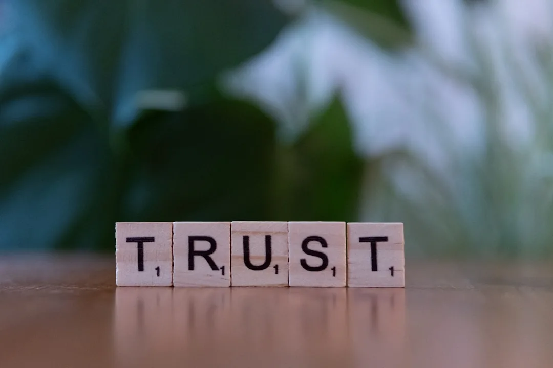 Trust Problems in Teams