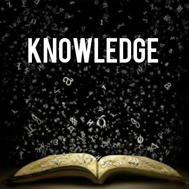 Knowledge Writing: Capturing and Sharing Expertise