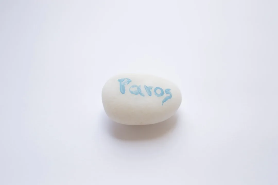 The Placebo Effect: How Expectation Becomes Physiology