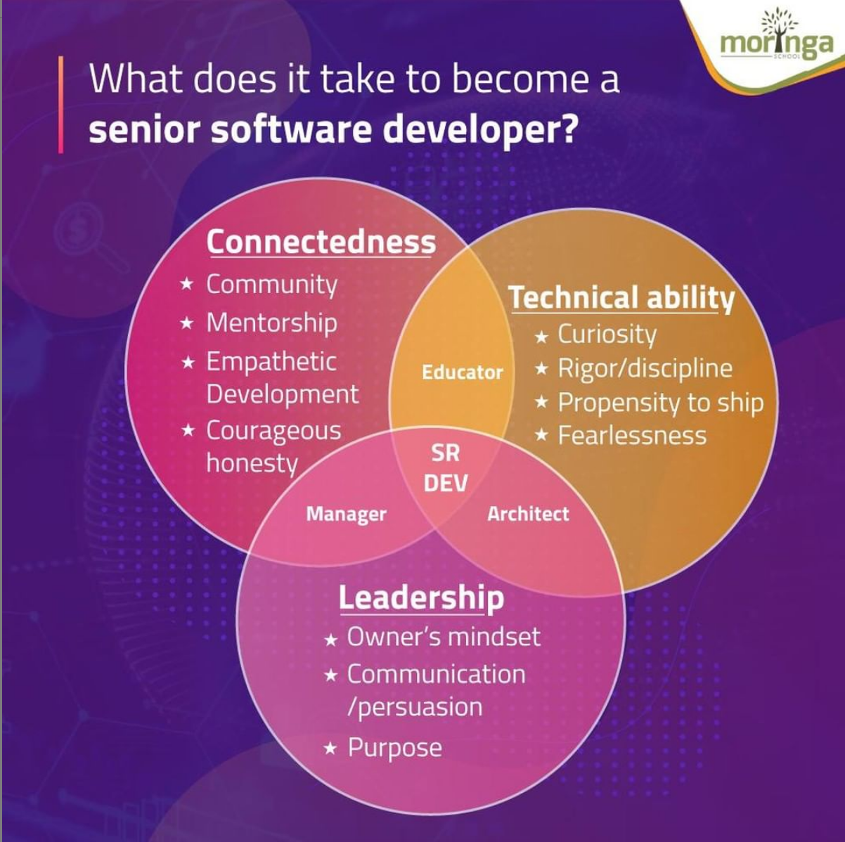 Understanding Junior vs Senior Developer Roles