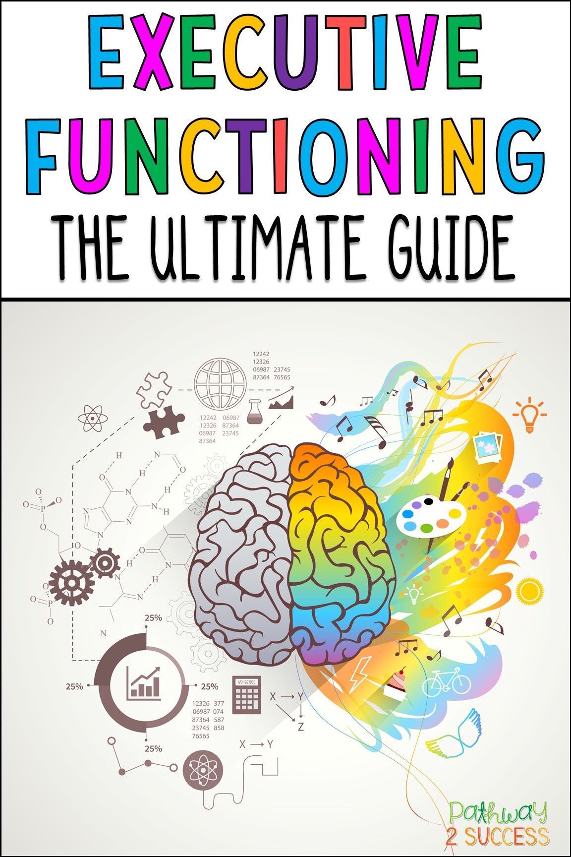 Understanding Executive Function and Self-Regulation
