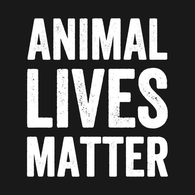 Animal Rights: The Philosophy and Moral Considerations