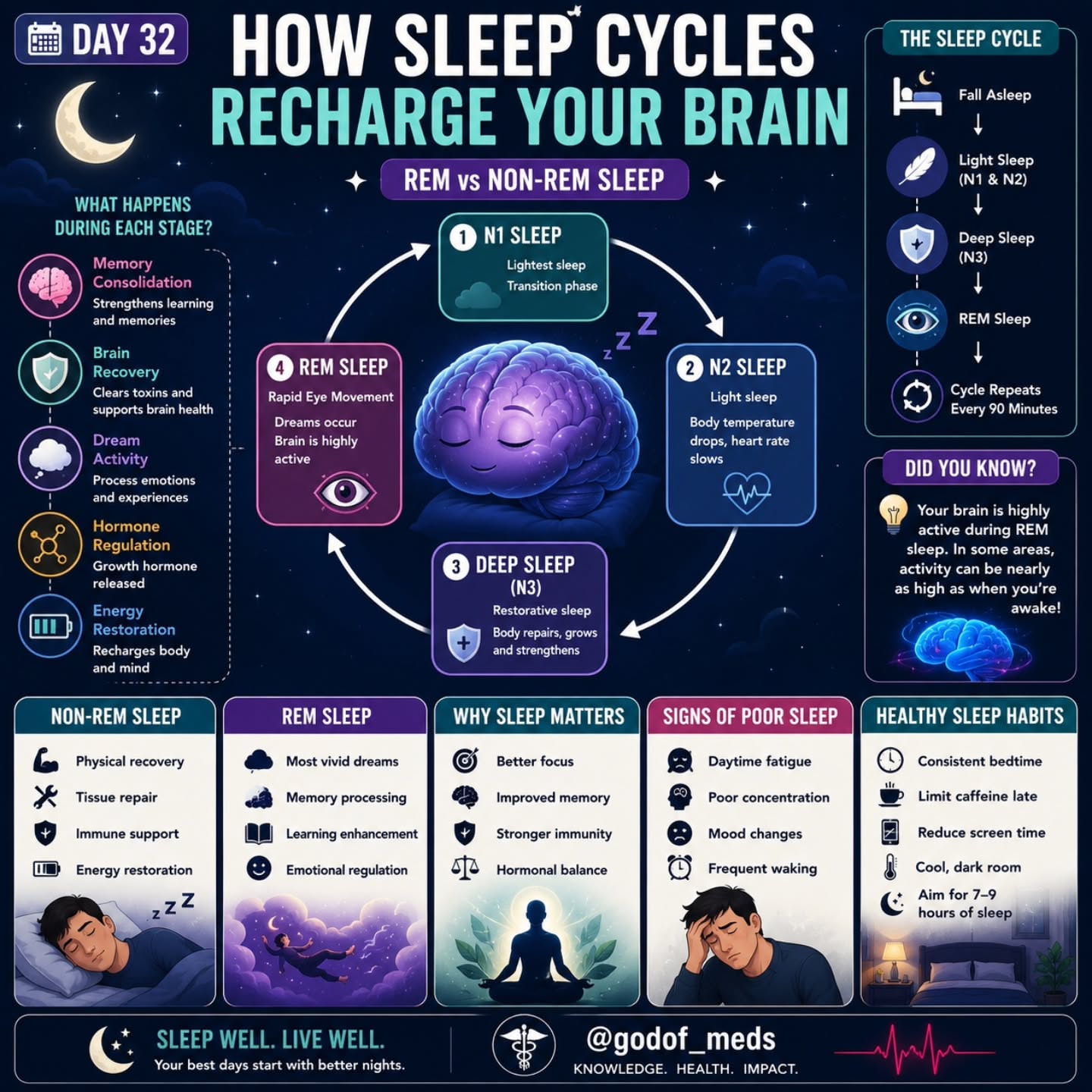 How Sleep Functions: Understanding Biological Mechanisms