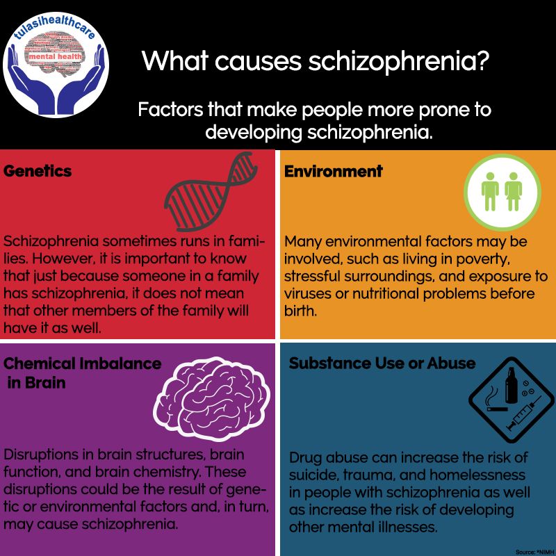 The Multifactorial Causes of Schizophrenia