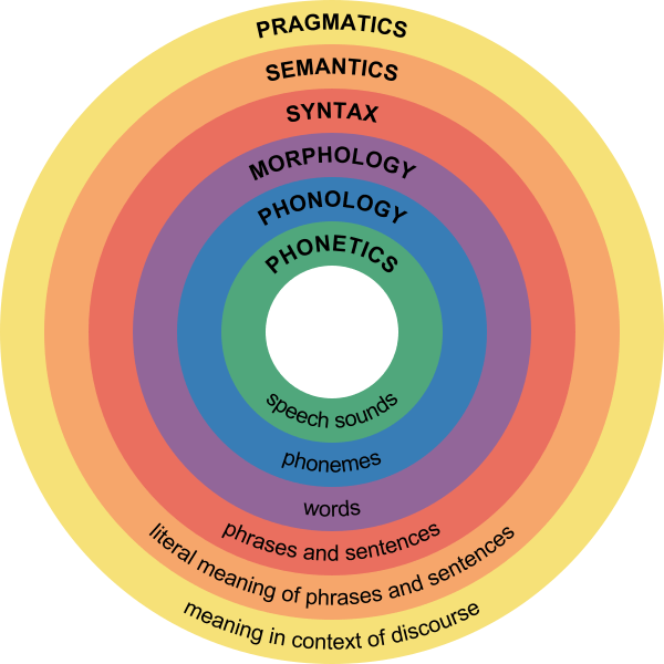 What Is Linguistics? Understanding Language Science