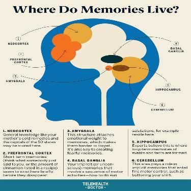 What Is Memory? The Science of Encoding and Retrieval