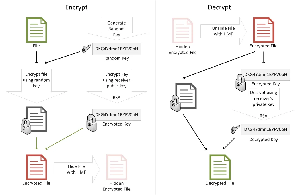 Understanding Encryption: Keeping Data Private