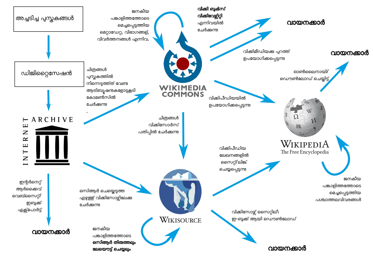 Development Workflows: Understanding Team Dynamics